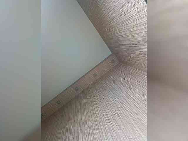 Elizabethh webcam