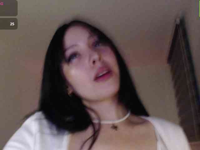 meko-hzu webcam