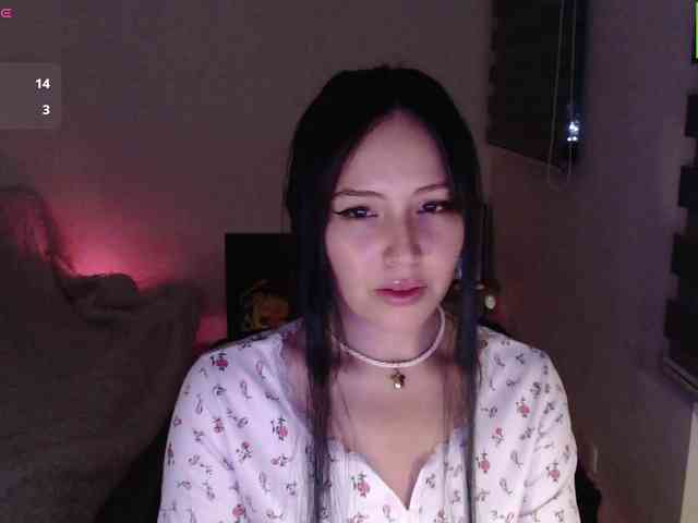 meko-hzu webcam