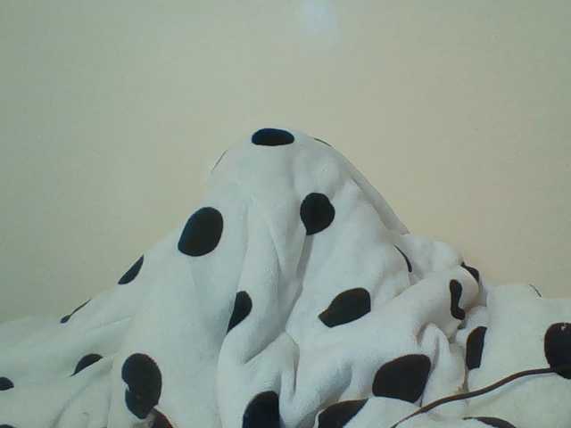 Beautystar12 live cam on BongaCams