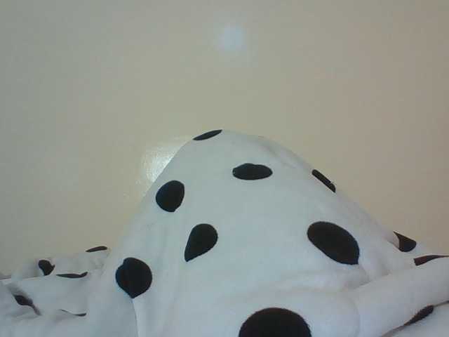 Beautystar12