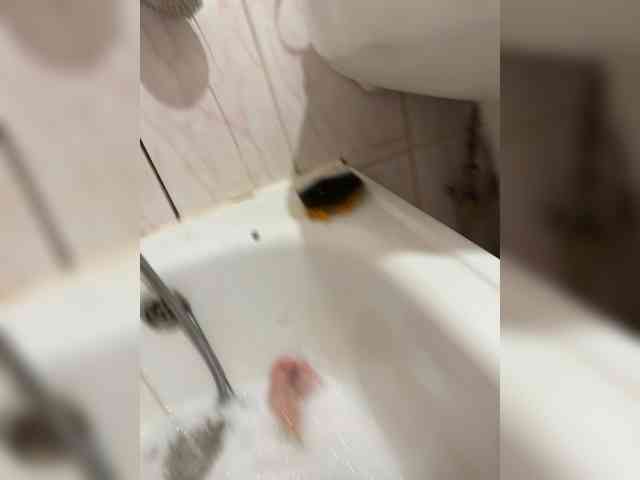 Multic19