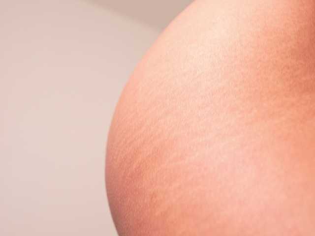 Saryhott