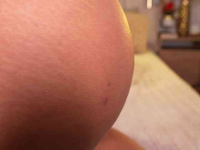 Saryhott webcam