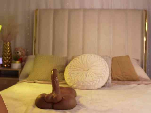 Saryhott webcam