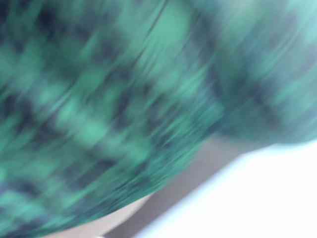 SaraThonson