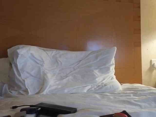 missionpossible webcam