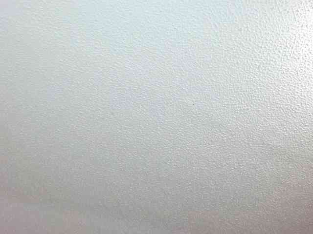 saramorales1 webcam