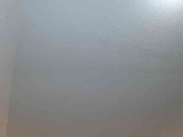 saramorales1 webcam