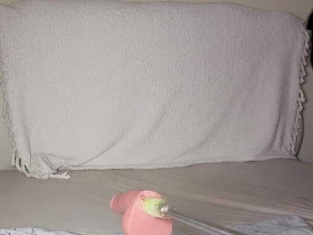 Ebonycutelyn live cam on BongaCams