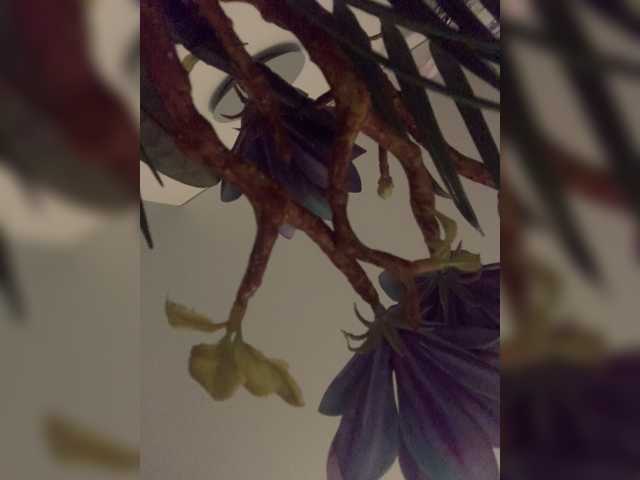 Stasya-moor live cam preview