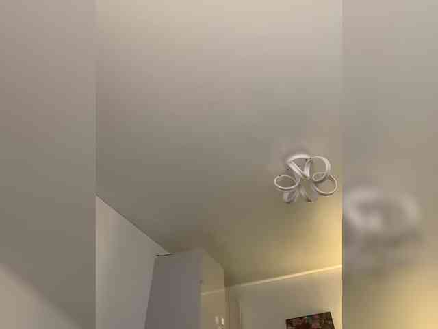 Stasya-moor webcam