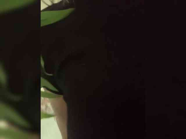private sex webcam Stasya-moor