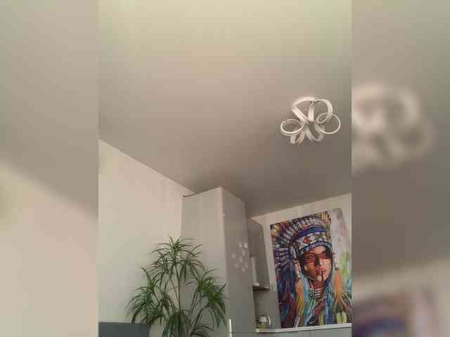 Stasya-moor webcam