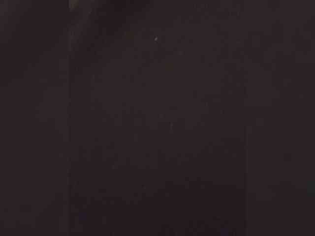 Stasya-moor webcam