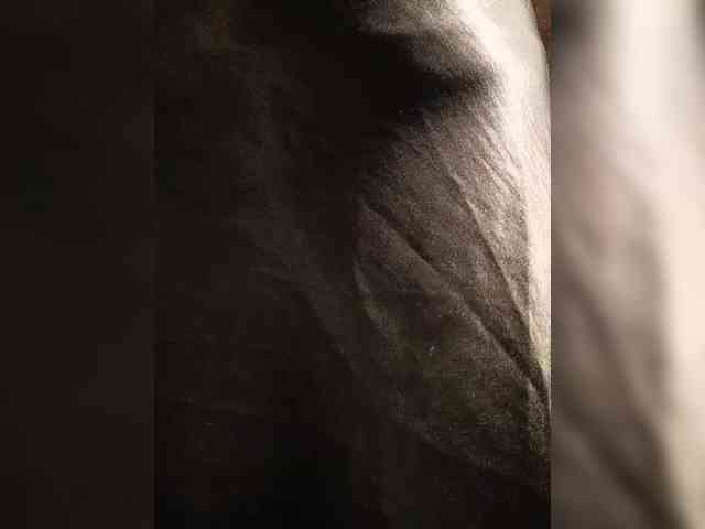 HelenaGloss webcam