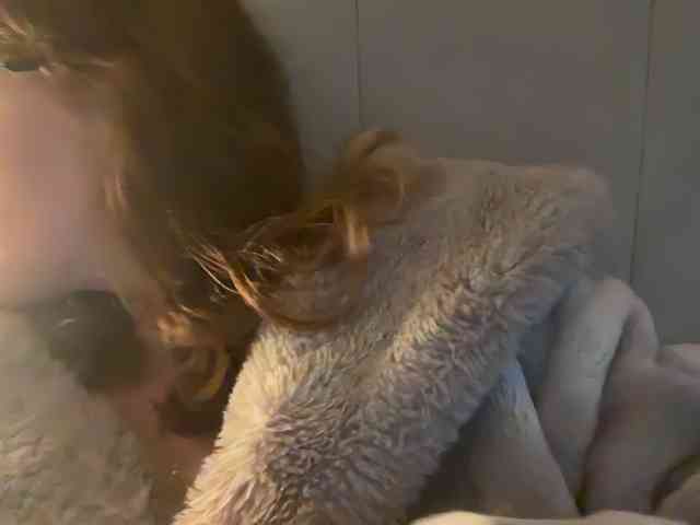 REDHEADROSIE webcam
