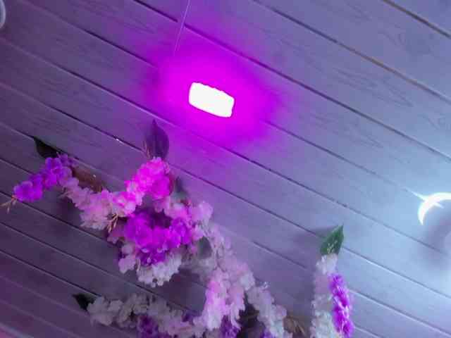 SharlotRodriguez webcam