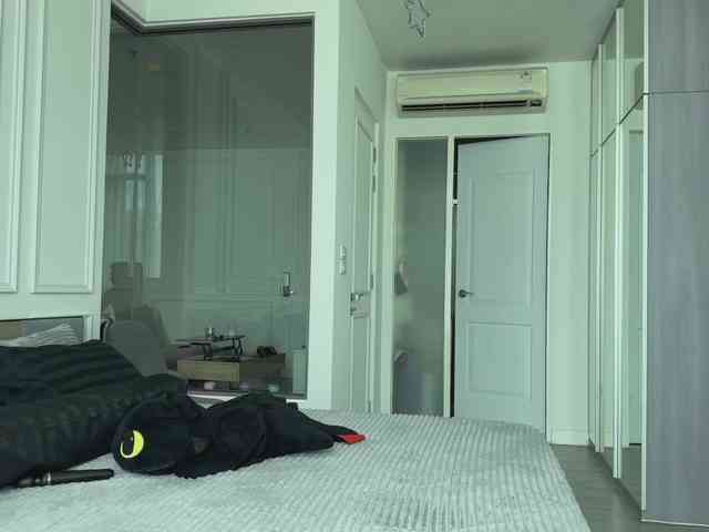 Travel-Couple Sex Cam Show