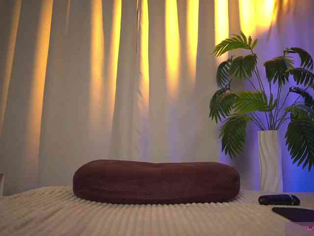 Eva_ webcam