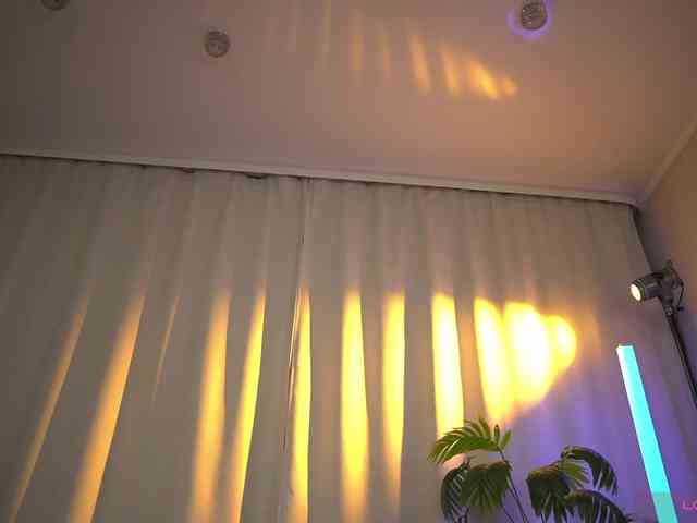 Eva_ webcam