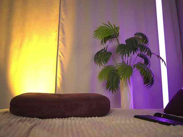 Eva_ webcam