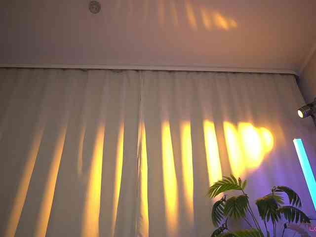 Eva_ webcam
