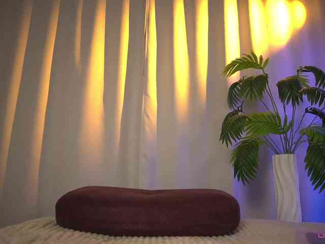 Eva_ webcam