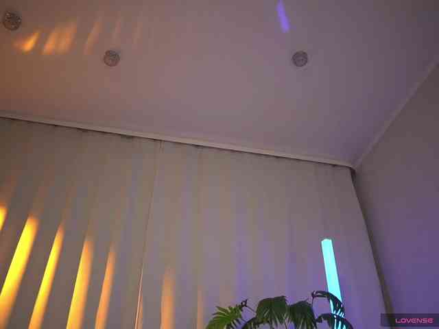 Eva_ webcam