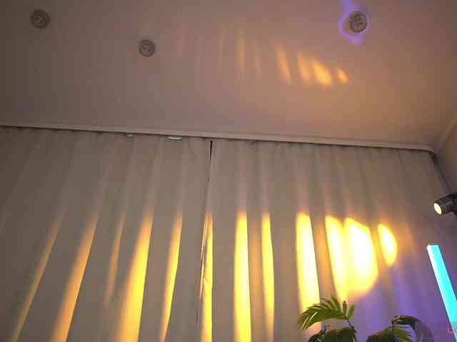 Eva_ webcam