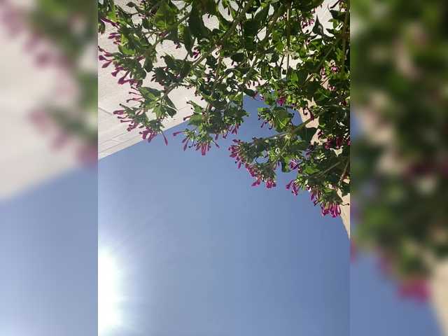 Miss_Milka