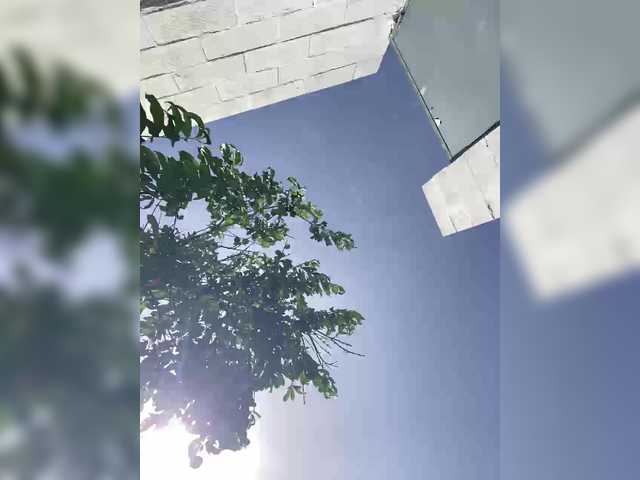 Miss_Milka