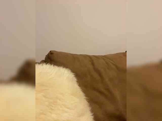 Miss_Milka webcam