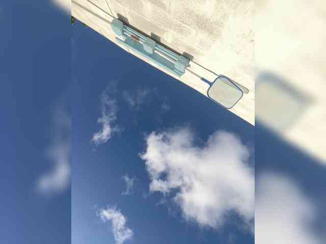 Miss_Milka