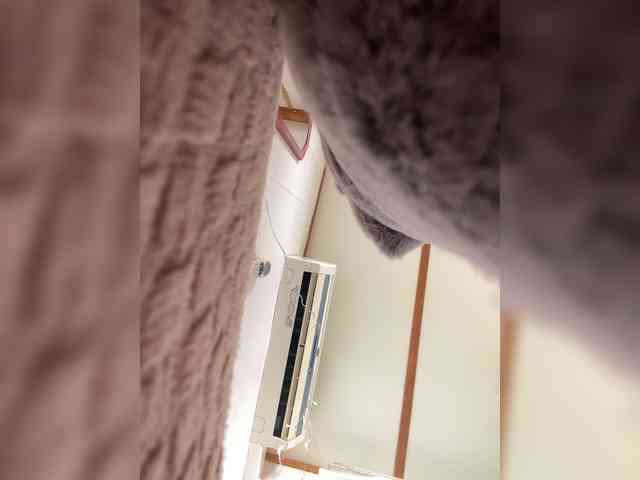 Miss_Milka webcam
