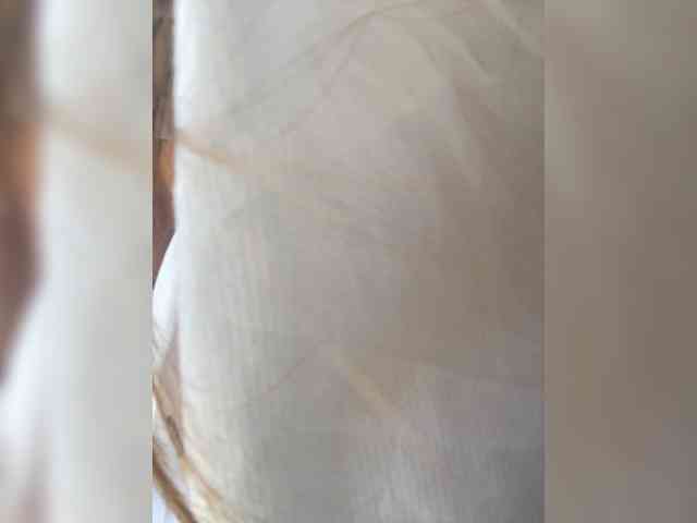 Miss_Milka webcam