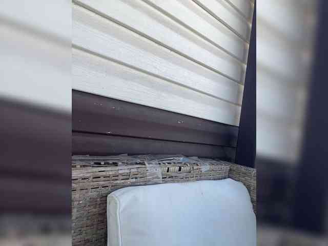 Miss_Milka webcam