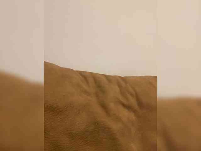 Miss_Milka webcam
