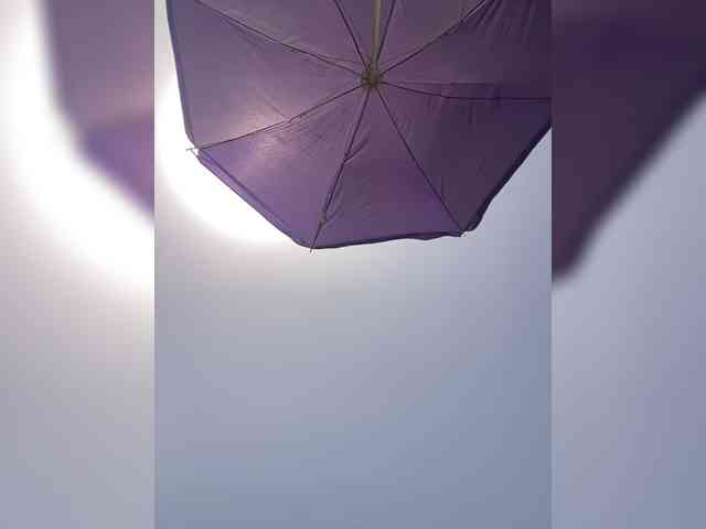miss-milka