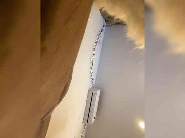 Miss_Milka webcam