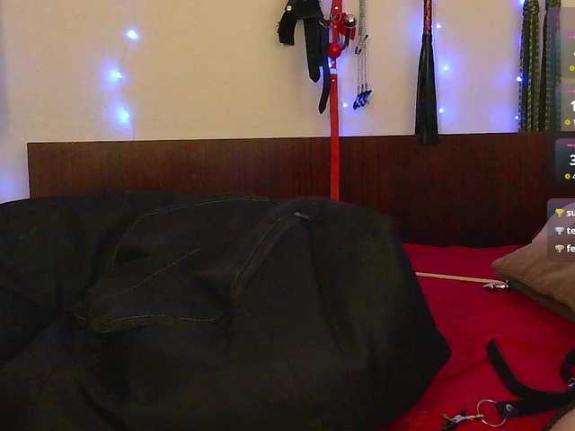 Bella-flirt live cam on BongaCams