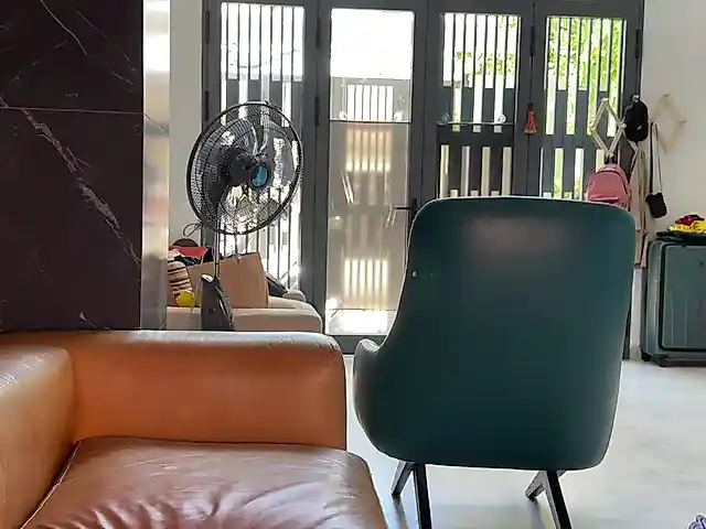 FlyingDutchmana