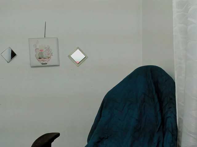 ZooeyBelair live cam on BongaCams