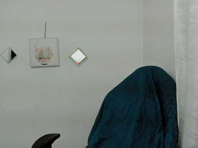 ZooeyBelair live cam on BongaCams