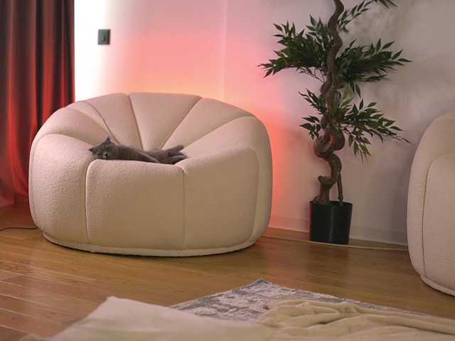 ellacandy live cam on BongaCams