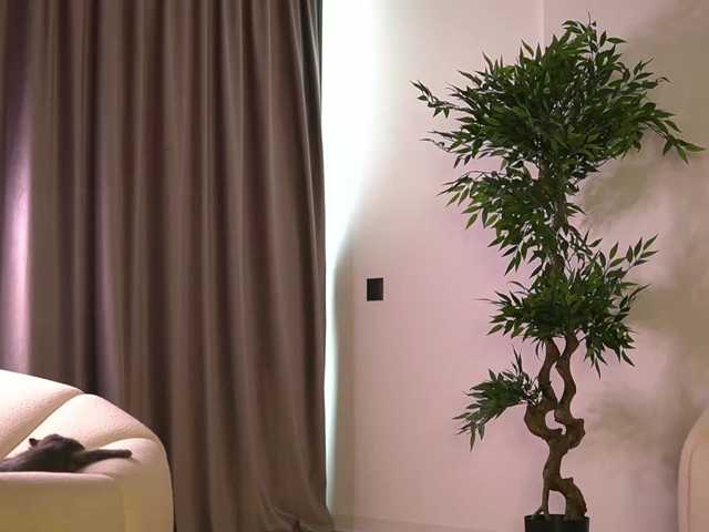 ellacandy live cam on BongaCams