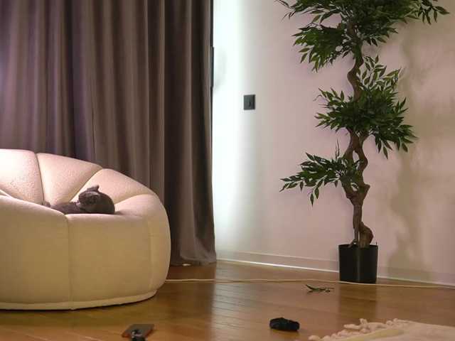 ellacandy live cam on BongaCams