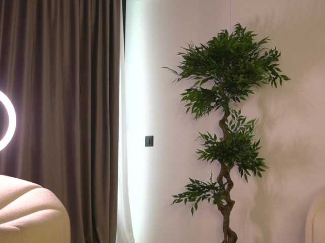 Live трансляция SashaPariss - slutnetki.online