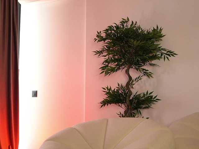 SashaPariss live webcam show