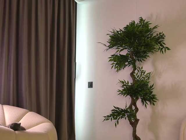 Sashapariss live cam